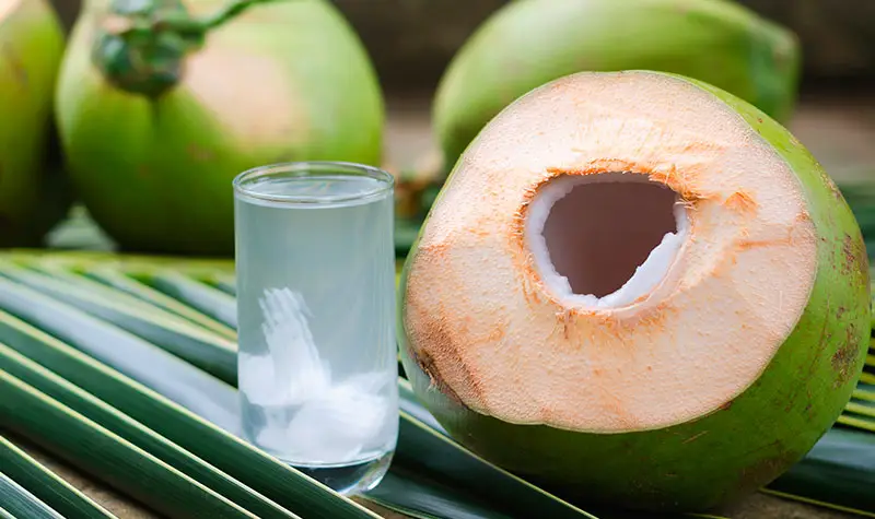 RD aumenta producción de coco más de 10 % al año, pero importa US$83 millones del fruto
