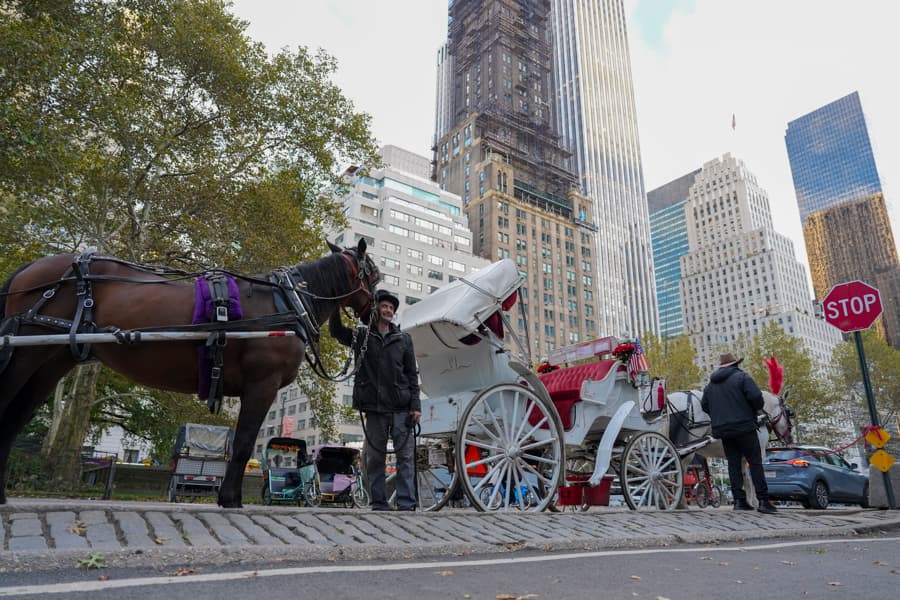 Nueva York prohibe carruajes tirados por caballos